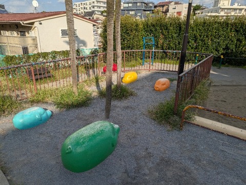 PXL_20250916_063013934