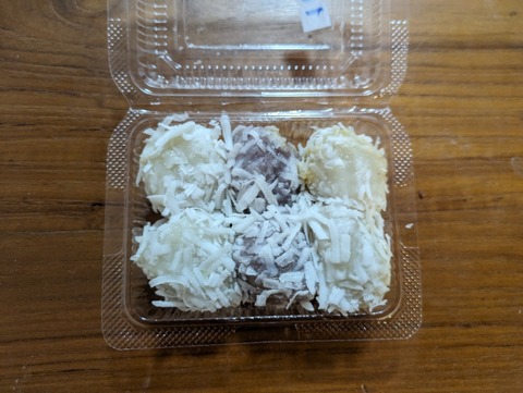 PXL_20240420_064551634