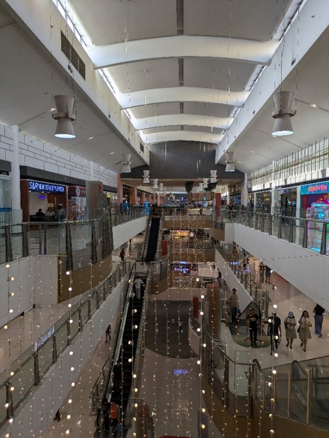 PXL_20241104_074022572