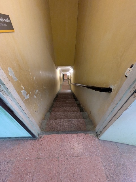 PXL_20250222_041158842