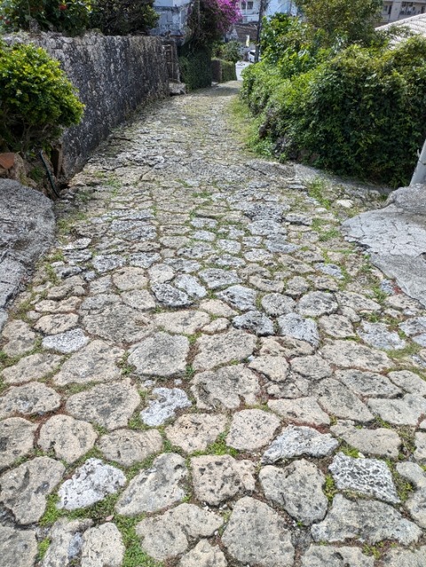 PXL_20241123_042434595