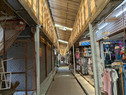 PXL_20250706_054031306