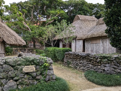 PXL_20241209_051741065