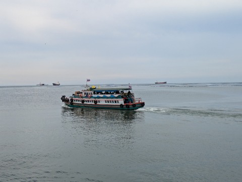 PXL_20241003_050226938