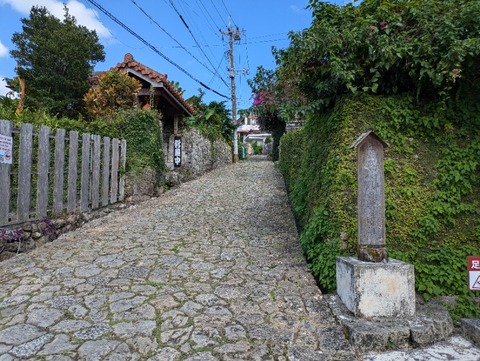 PXL_20241123_042707951