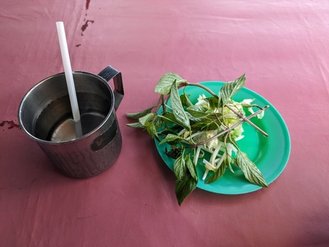 PXL_20240405_051608672