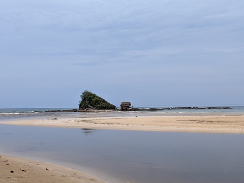 PXL_20241029_024725040.MP