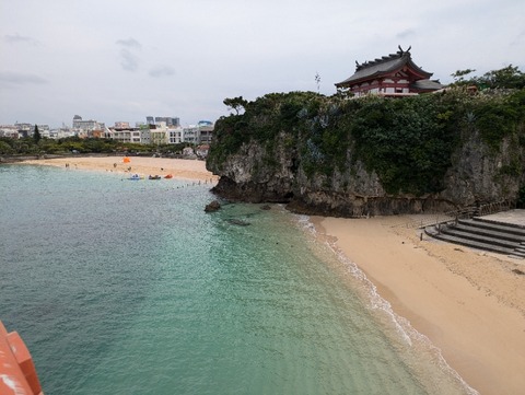 PXL_20241119_031443059