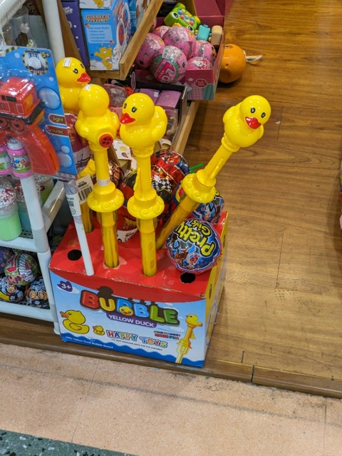 PXL_20240514_055045358