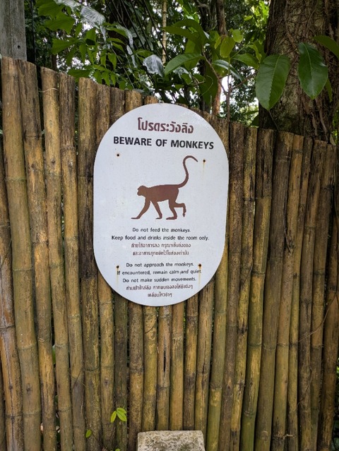 PXL_20250702_061528515