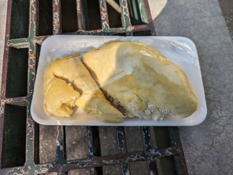 PXL_20240119_074519090