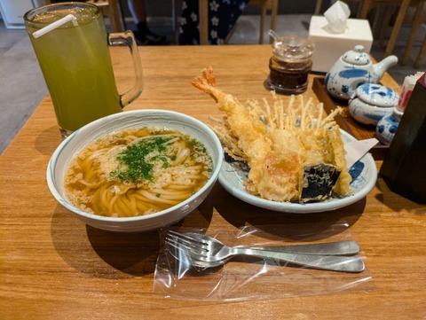 PXL_20240624_061358954