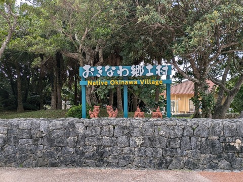 PXL_20241209_051134248
