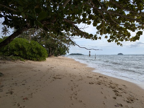 PXL_20250702_094724843