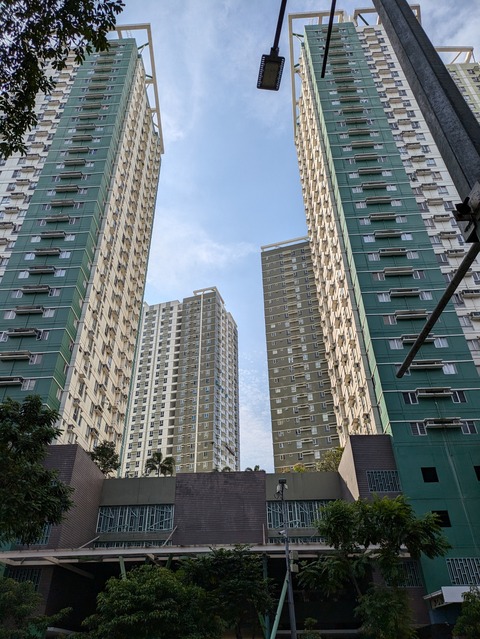 PXL_20241031_072530675