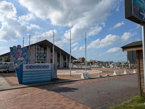 PXL_20241204_052953267