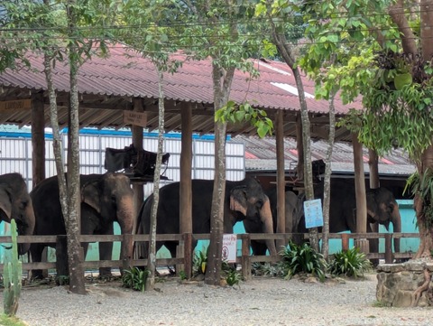 PXL_20250630_063814158