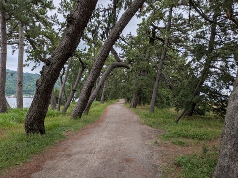 PXL_20260608_024353366
