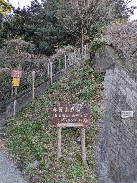 PXL_20240203_053527773