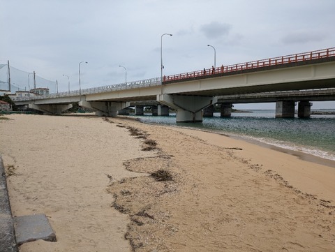 PXL_20241119_024035616