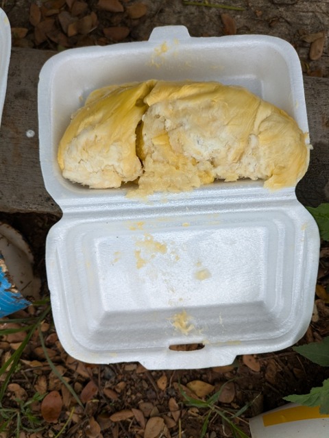 PXL_20241028_051236495~2