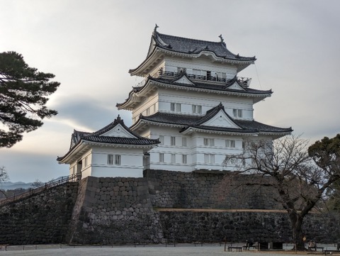 PXL_20240214_073138732