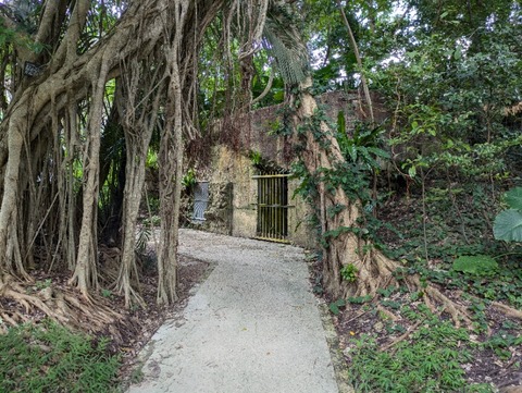 PXL_20241123_035429719