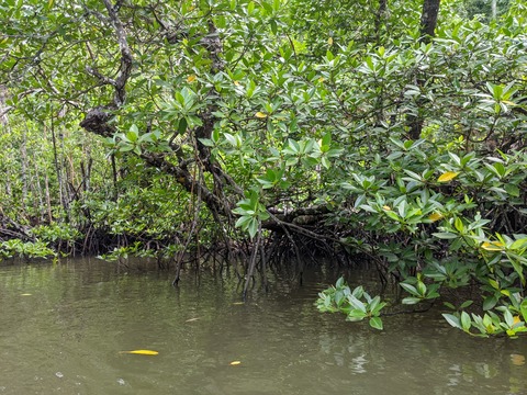 PXL_20241029_021952282