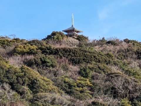 PXL_20240203_054216567