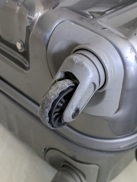 PXL_20240930_075417938