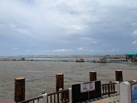 PXL_20250529_061322552