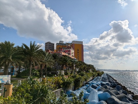 PXL_20241204_055218326