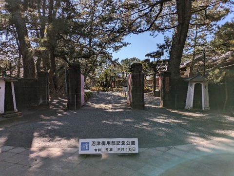 PXL_20240210_034123919