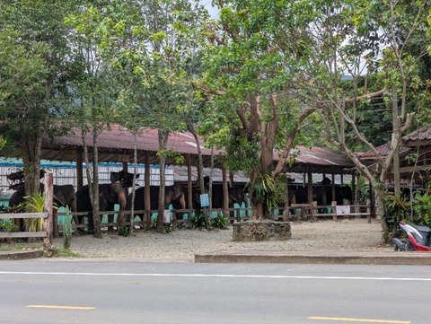 PXL_20250630_063758642