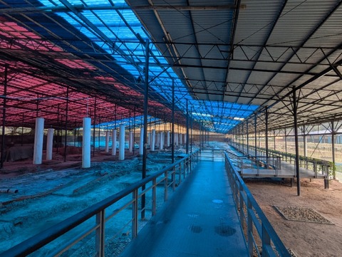 PXL_20250222_051311626