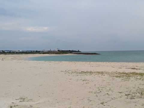 PXL_20241120_051127925