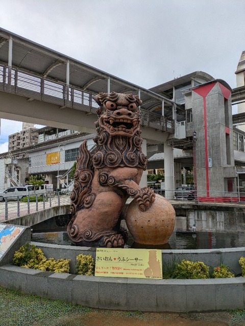 PXL_20241117_012229898