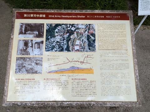 PXL_20241123_035440643