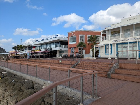 PXL_20241204_053732449