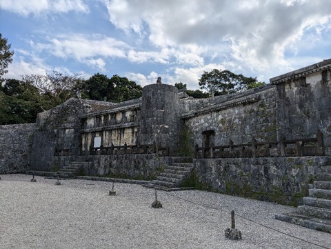 PXL_20241123_040509005