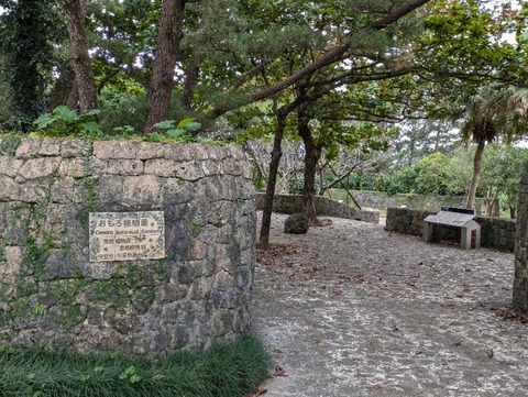 PXL_20241209_051818305