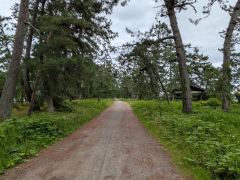 PXL_20260608_025238351