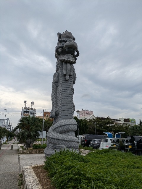 PXL_20241119_022603246