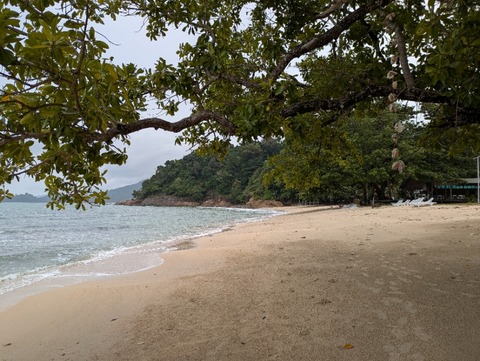 PXL_20250703_042549079