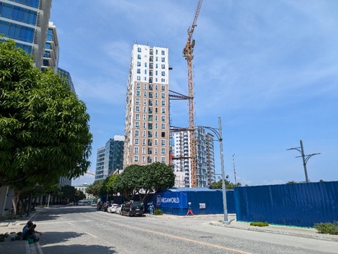 PXL_20241107_030926888