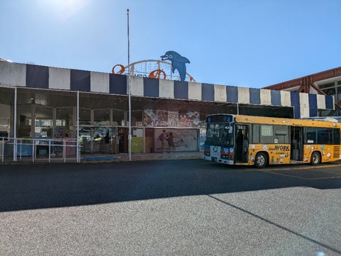 PXL_20240210_045259107