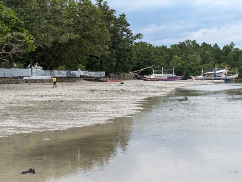 PXL_20241026_044125452