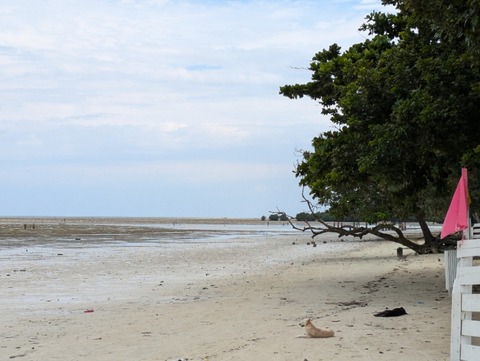 PXL_20241026_043751032