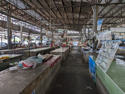 PXL_20240418_061438293