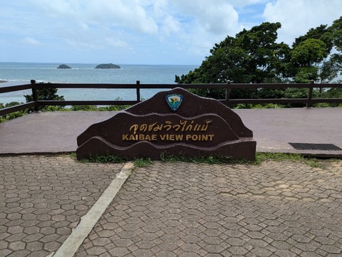 PXL_20250629_055108156